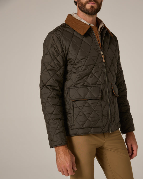 olive-8534