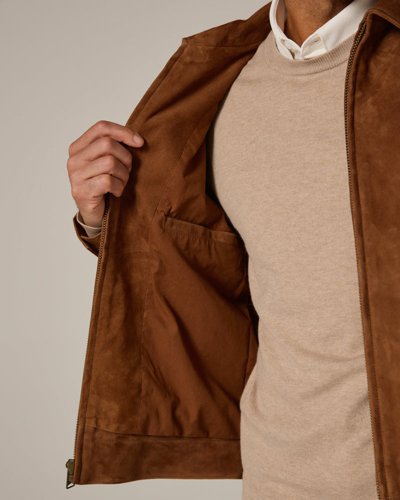 brown-8536
