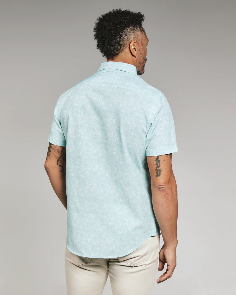 seafoam-8166