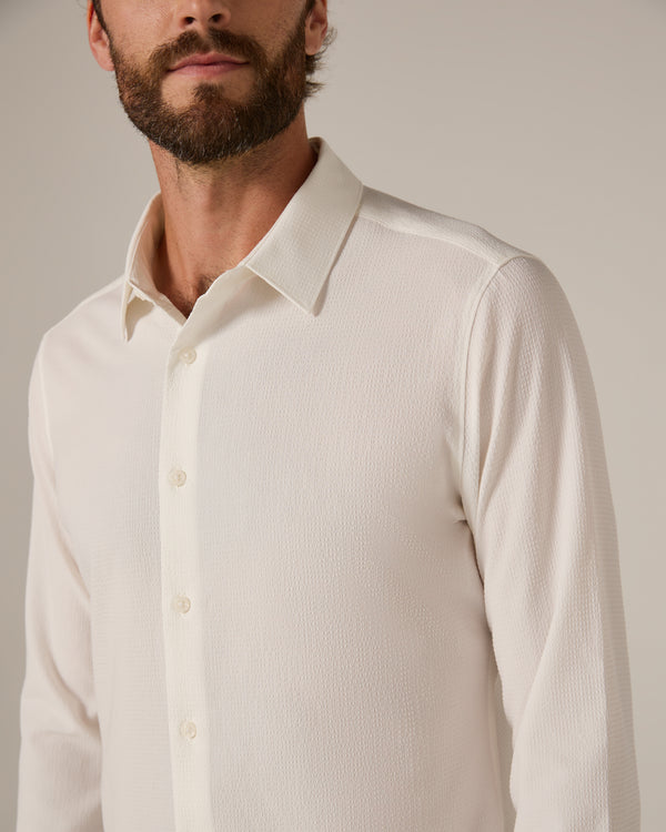 ivory-8251