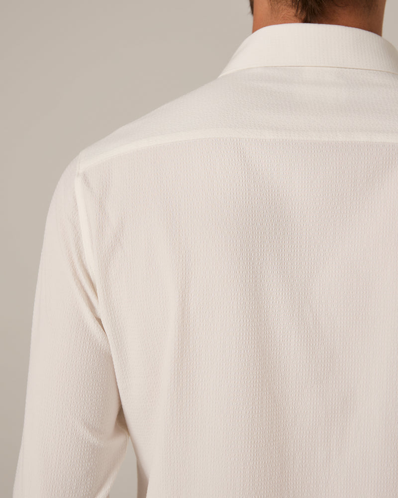ivory-8251