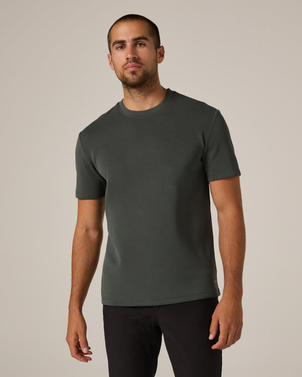 basil-4235