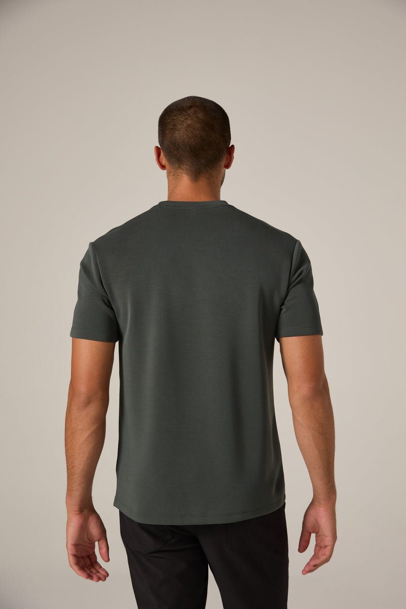 basil-4235