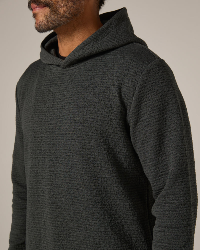 basil-8378