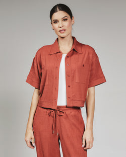 terracotta-6039